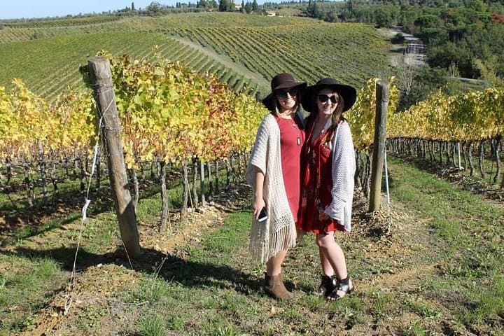 Private Half Day Tour Chianti Classico Wine Experience