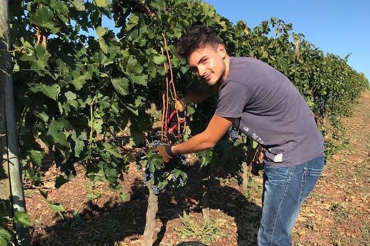 Private Half Day Tour Chianti Classico Wine Experience