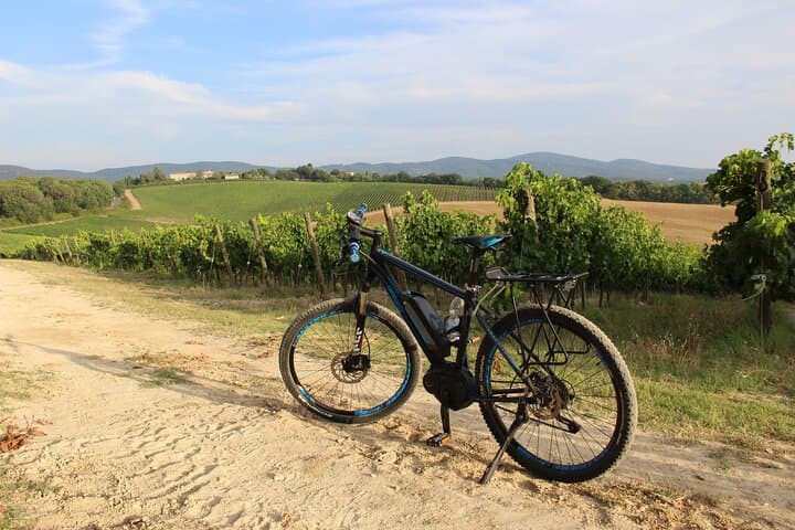 Small Group E-Bike Chianti Tour with farm lunch from Siena