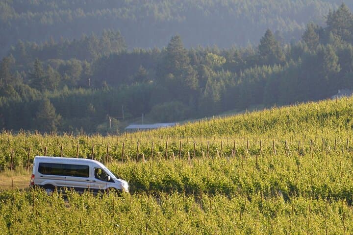 San Gimignano and Winery Experience with Lunch from Livorno