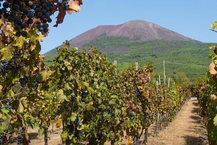 Mt Vesuvius with Winery Visit