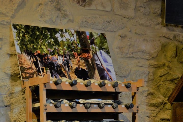Exclusive Val d'Orcia Tour from Florence - A cinematic universe