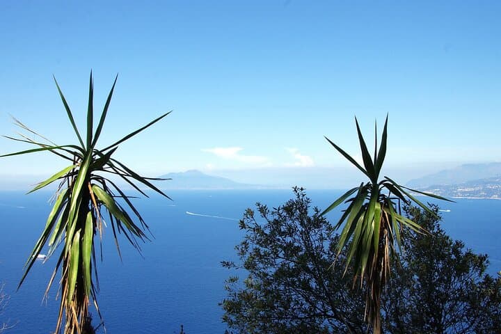 Foto di DEZALB (https://pixabay.com/it/users/DEZALB-1045091/?utm_source=link-attribution&utm_medium=referral&utm_campaign=image&utm_content=2462752) da