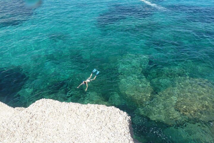 Tour to Figarolo Island with the possibility to observe dolphins