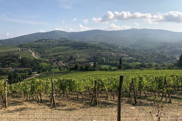 Private Chianti Wine Tasting from Florence, Half Day Experience