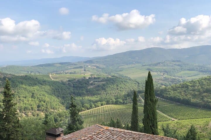 Private Chianti Wine Tasting from Florence, Half Day Experience