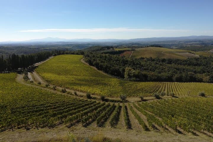 view of the Chianti