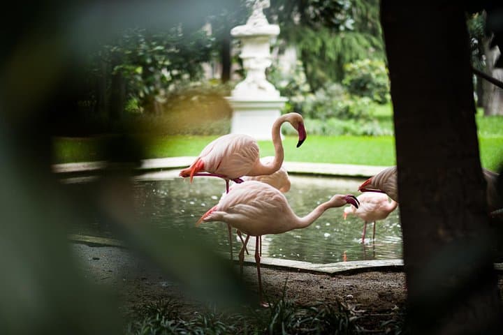 Kid-Friendly Milan Walking Tour With Private Guide