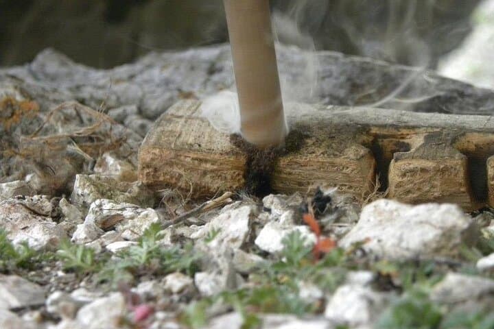 Survival and Bushcraft Courses