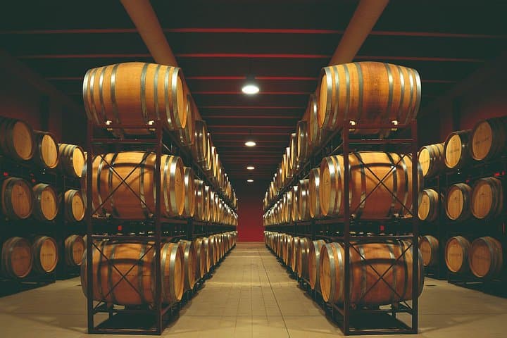 Winery Tour and Wine Tasting in Montepulciano d'Abruzzo