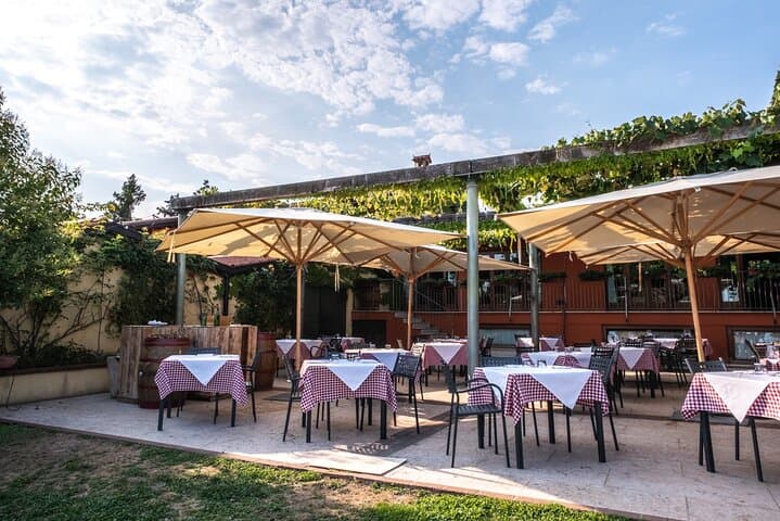 Wine Tasting with Panoramic View