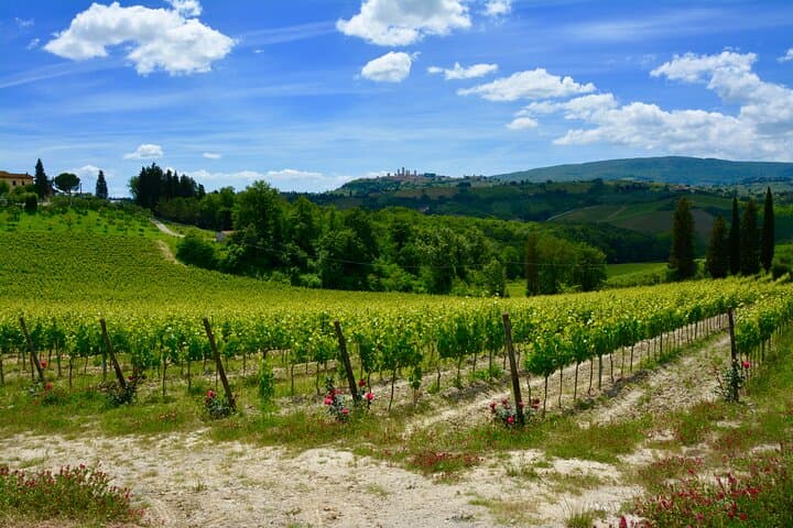 Tuscan hills