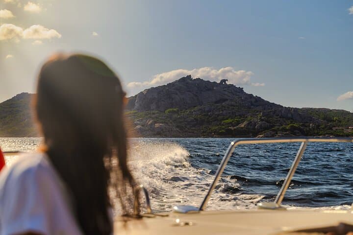 Lake Maggiore: Sightseeing Cruise from Stresa