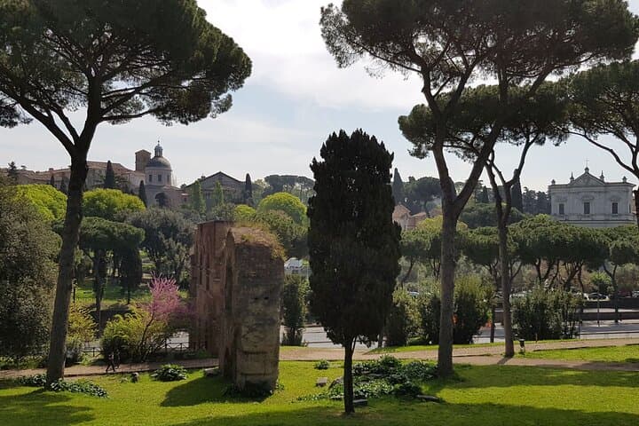 Colosseum Arena Floor and Ancient Rome Semi Private Guided Tour