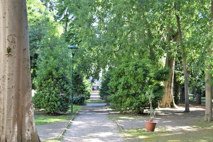 Secret Gardens of Venice Walking Tour