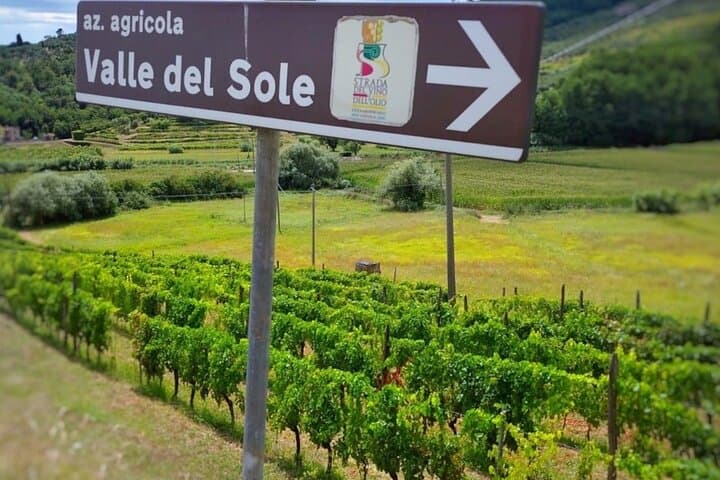 Towards the winery.