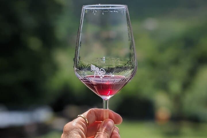 The wines of Lucca
