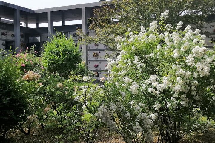 Venice's Cemetery on San Michele Island Tour