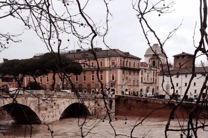Transfer Florence to Rome