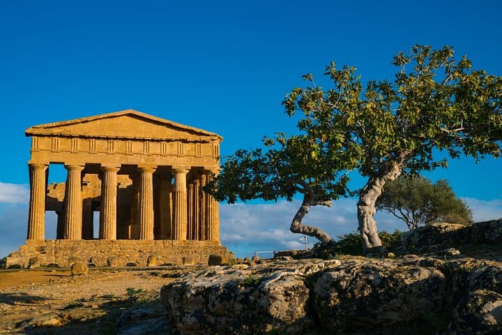 Private Tour of the Valley of the Temples
