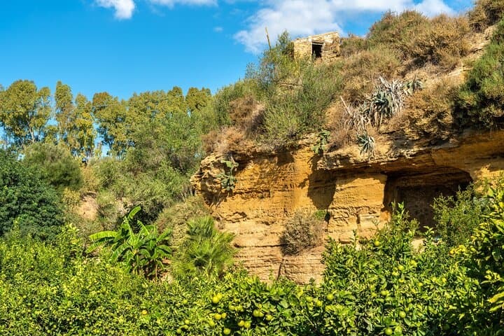 Valley of the Temples & Kolymbethra Private Guided Tour