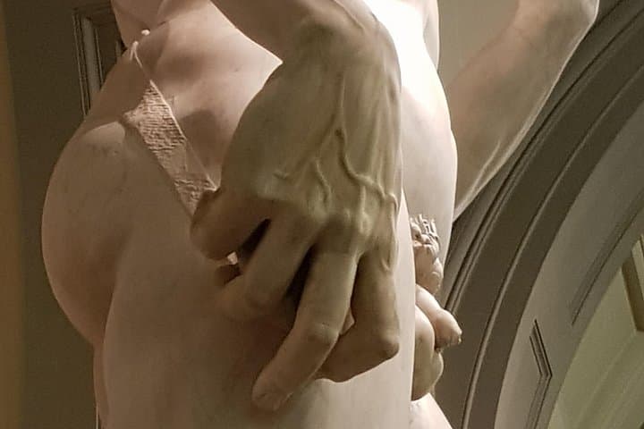 Florence: Accademia Gallery private tour; Michelangelo’s David