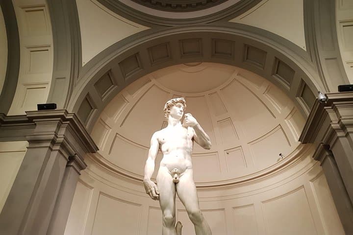 Florence: Accademia Gallery private tour; Michelangelo’s David