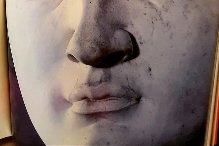 Florence: Accademia Gallery private tour; Michelangelo’s David