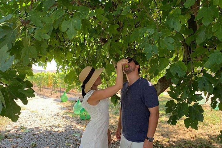 Farm-to-Table Experience: Olive Oil, Garden Tour & Nonna’s Lunch