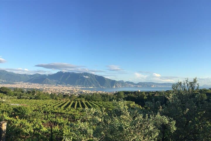 Transfer - Naples to Sorrento or Sorrento to Naples