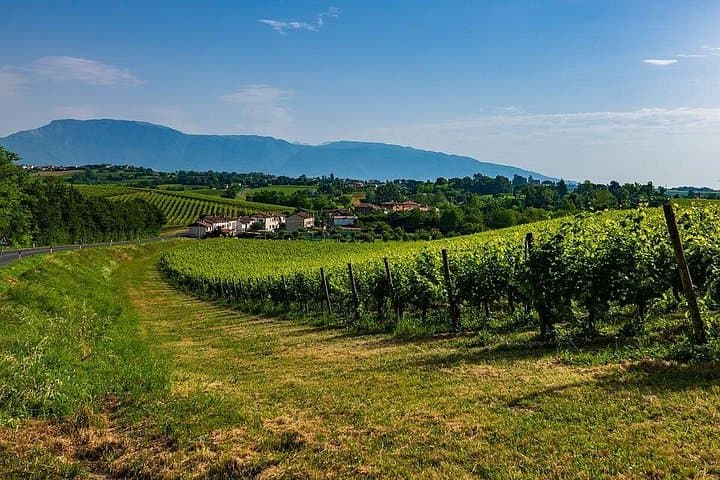 Valdobbiadene 2 days between wine, food and culture