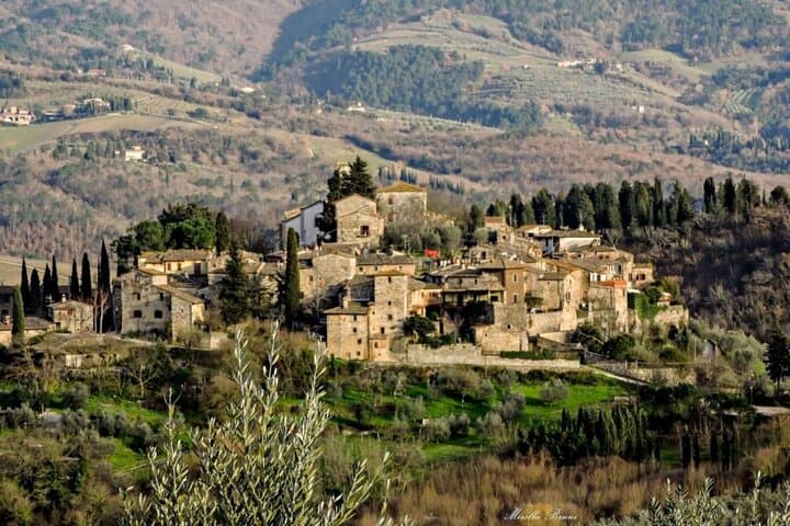 Private Chianti wine tour leaving from Florence