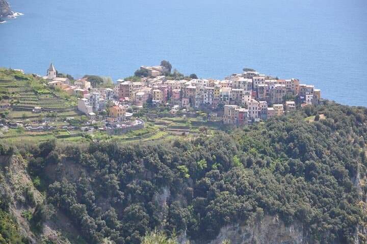 Corniglia View