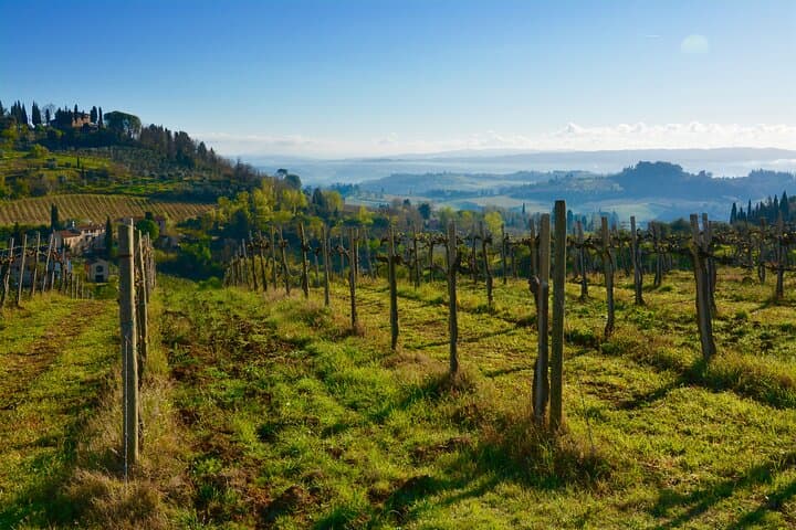 One Way Private Transfer: Florence to Rome with Visit to San Gimignano and Siena