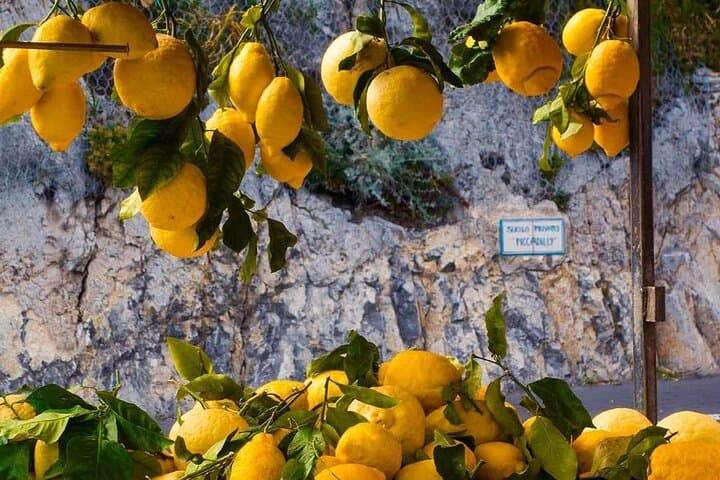Positano, Amalfi and Ravello from Sorrento - Light Lunch Included