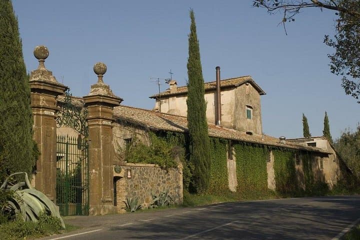 Vine & Olive: Private Tasting Experience (Veget & Vegan Friendly)