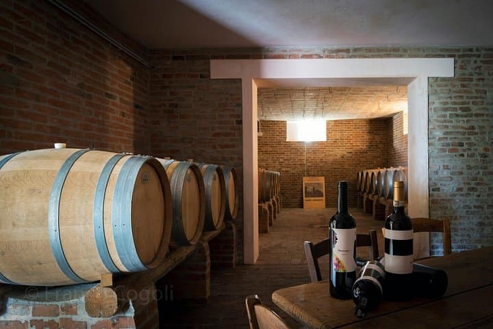 Bologna Hills: Organic DOCG Wine Tasting & Winery Tour
