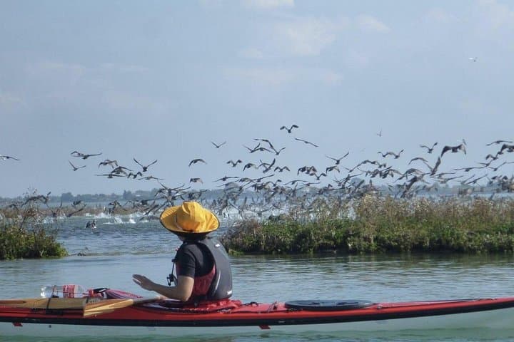 2 Hour Night Kayak Tour in Venice, premium experience with sunset