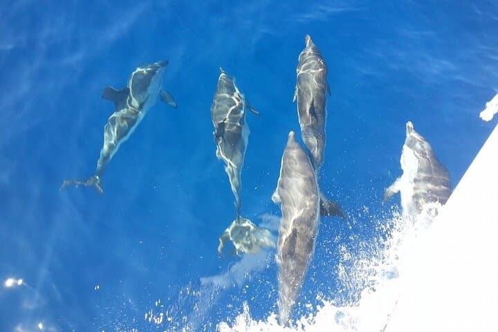 Shared Five Star Cruise Relax SailYacht La Maddalena Islands