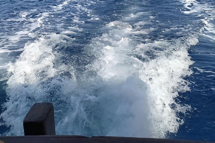 Nightly squid fishing - private tour