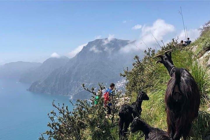 Path of the Gods view