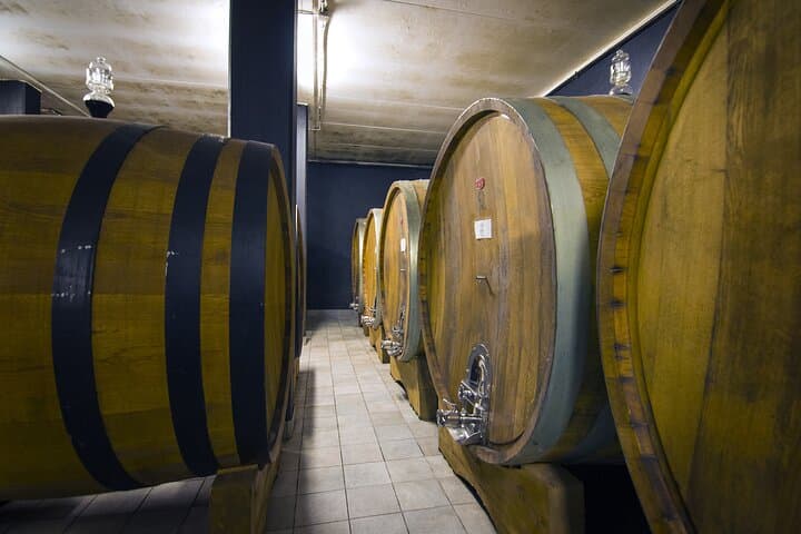 Truffle hunt and Barolo wine tasting