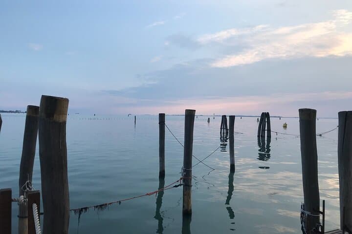 Venice Tour including St Mark Doge's Palace & Gondola Ride from Train Station