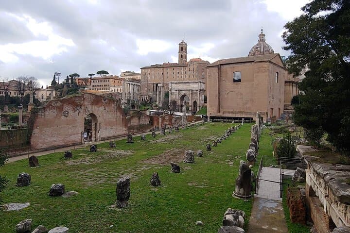 Basilica Aemlia and the Curia