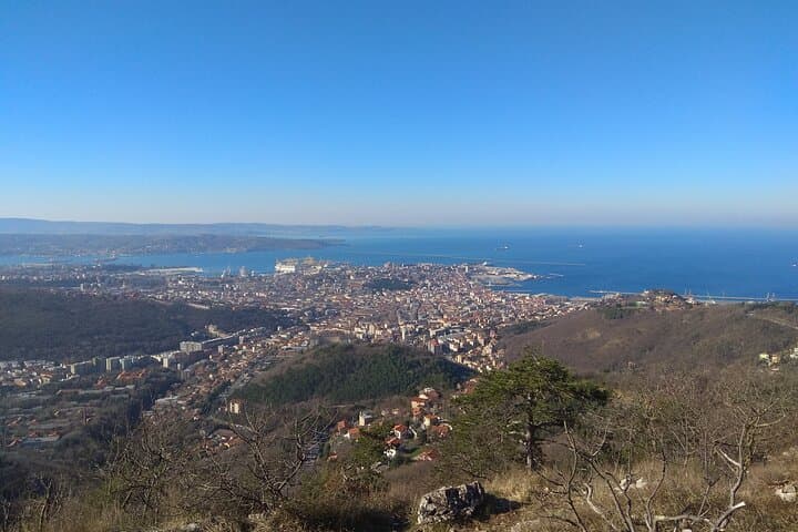 Experience Trieste