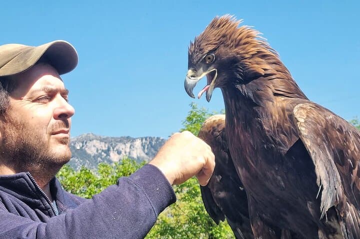 Interactive Educational Course on Birds of Prey