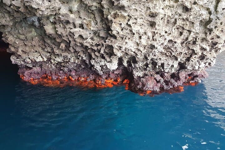 Cave of corals
