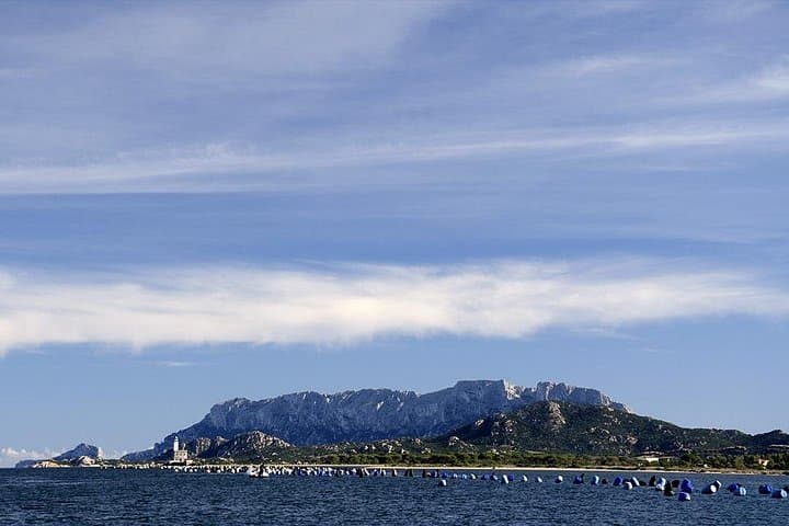 Tavolara island