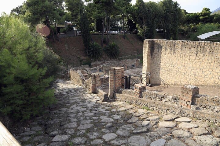 Skip the Line Pompeii Guided Tour from Naples
