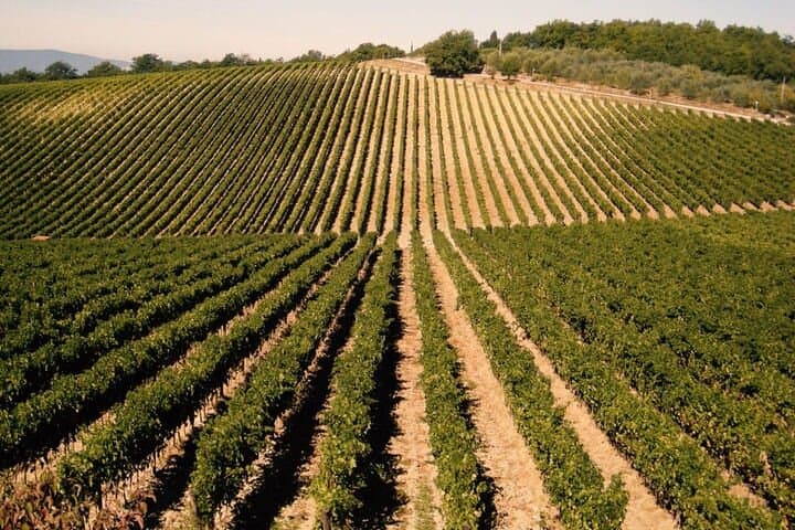 A view near Greve in Chianti
